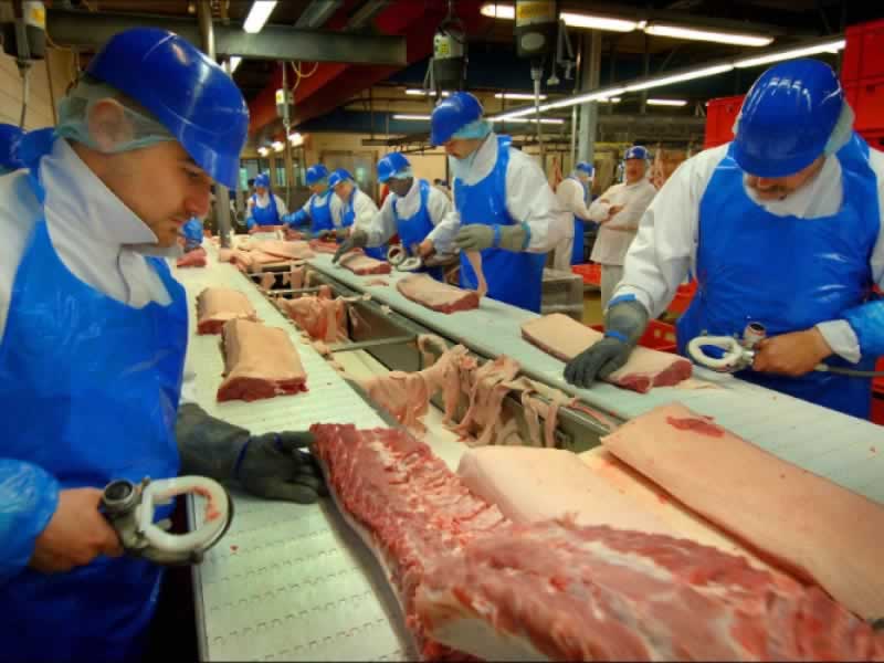 Vleeswarenbedrijven en IBANC